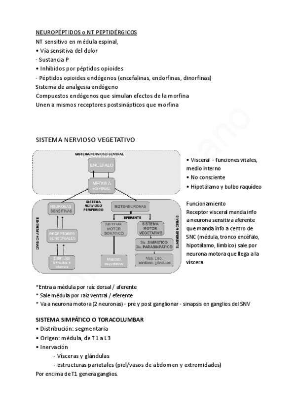 Miniatura del documento sinapsis-y-SNV-tema-10-parte-2-marisol.pdf