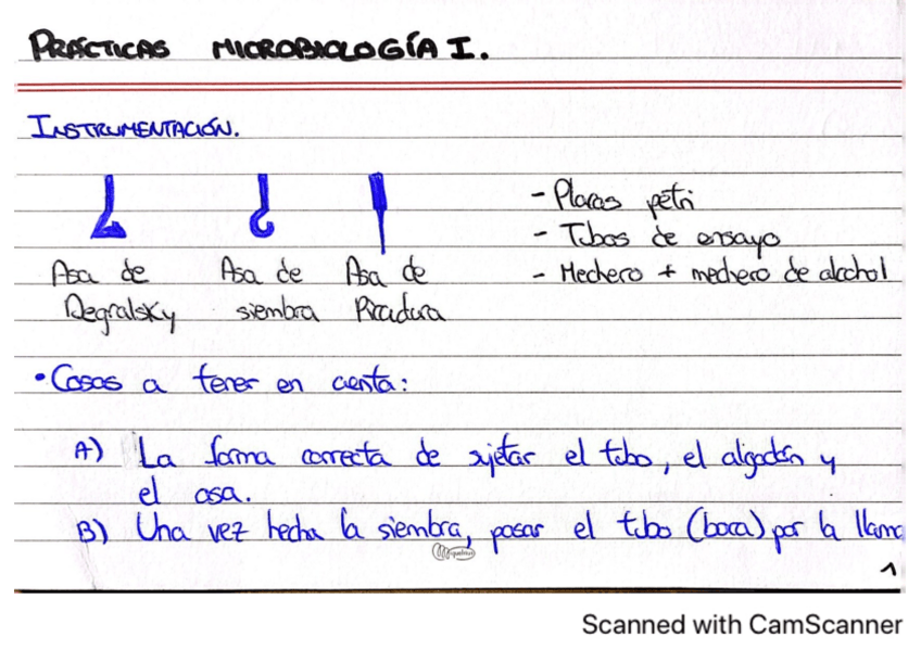 Miniatura del documento Practicas-Microbiologia-Tarjetas-Resumen.pdf