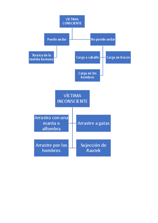 Miniatura del documento ESQUEMAS-PRIMEROS-AUXILIOS.pdf