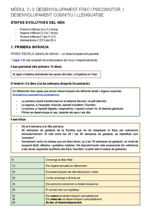Miniatura del documento MODUL-2-i-3-DESENVOLUPAMENT-FISIC-I-PSICOMOTOR-I-DESENVOLUPAMENT-COGNITIU-I-LLENGUATGE-Documents-de-Google.pdf