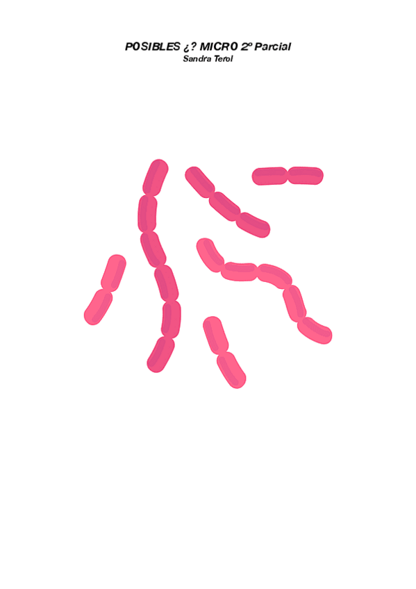 Miniatura del documento posibles-Preguntas-micro-parcial-2o.pdf