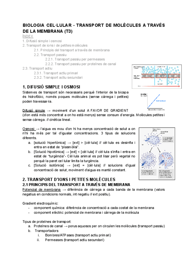 Miniatura del documento bio-cel-T3.pdf