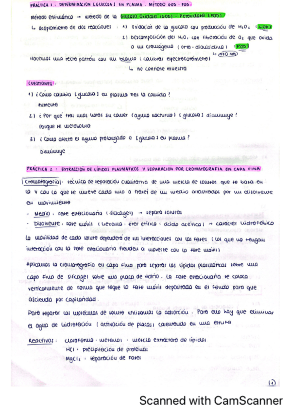 Miniatura del documento Prácticas bioquímica metabólica.pdf