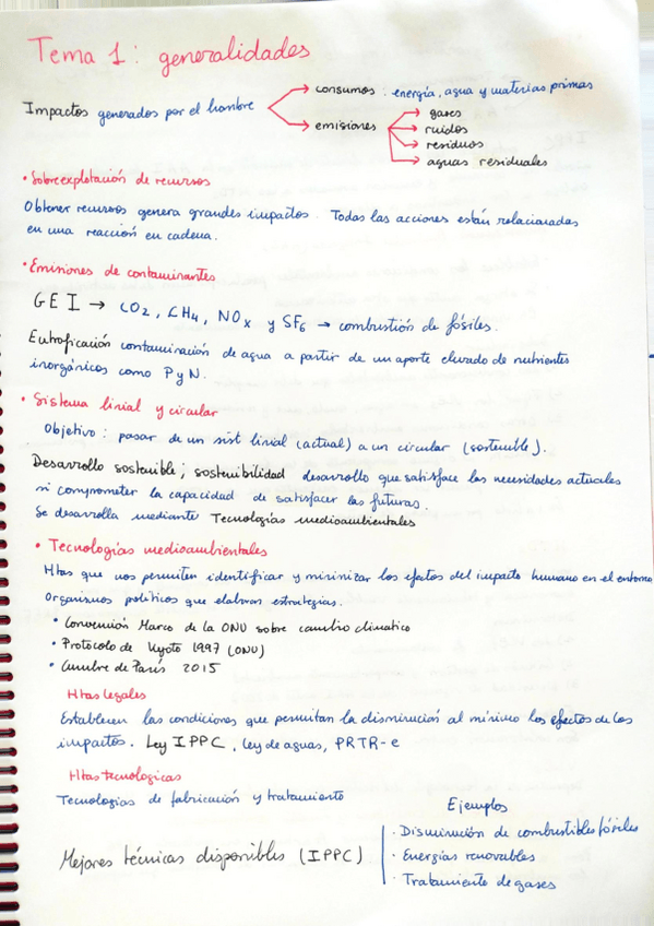 Miniatura del documento Apuntes-TEMA-1.pdf