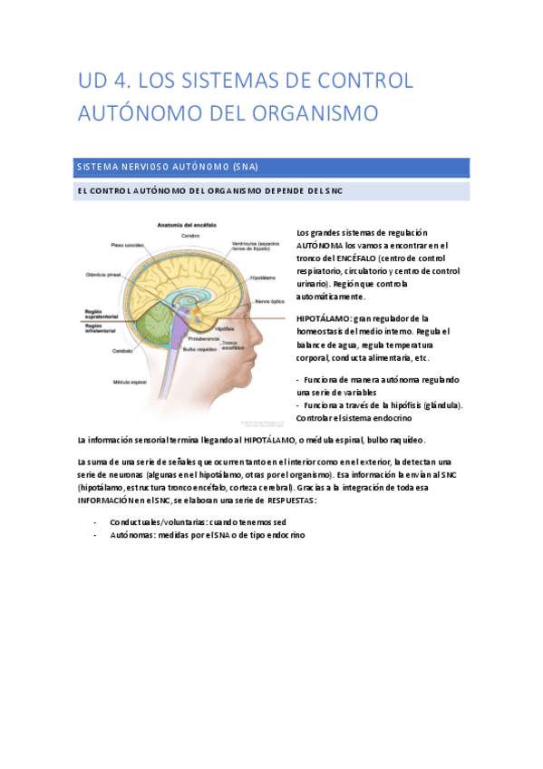 Miniatura del documento UD4.pdf