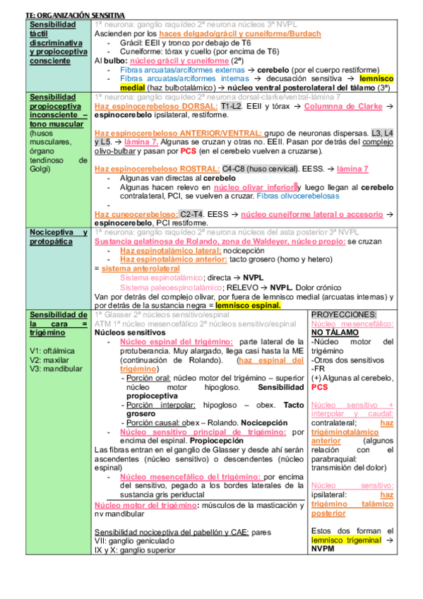Miniatura del documento TE-organizacion-sensitiva.-definitiva.pdf