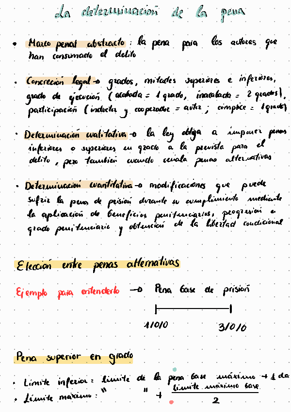 Miniatura del documento La-determinacion-de-la-pena-explicacion.pdf