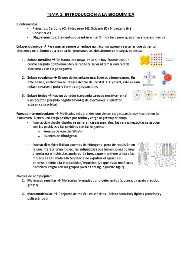Miniatura del documento BIOQUIMICA-1.pdf