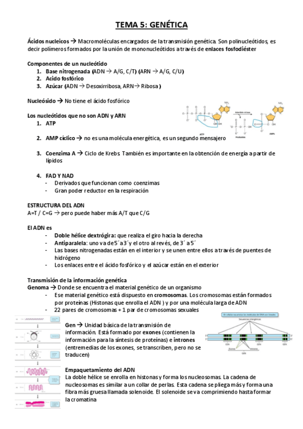 Miniatura del documento BIOQUIMICA-5.pdf