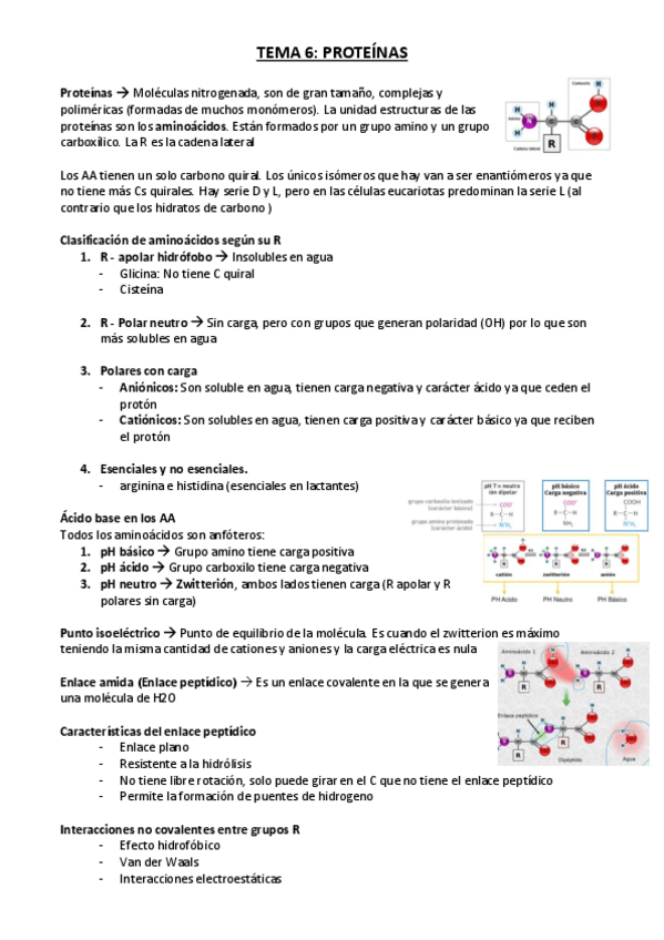 Miniatura del documento BIOQUIMICA-6.pdf