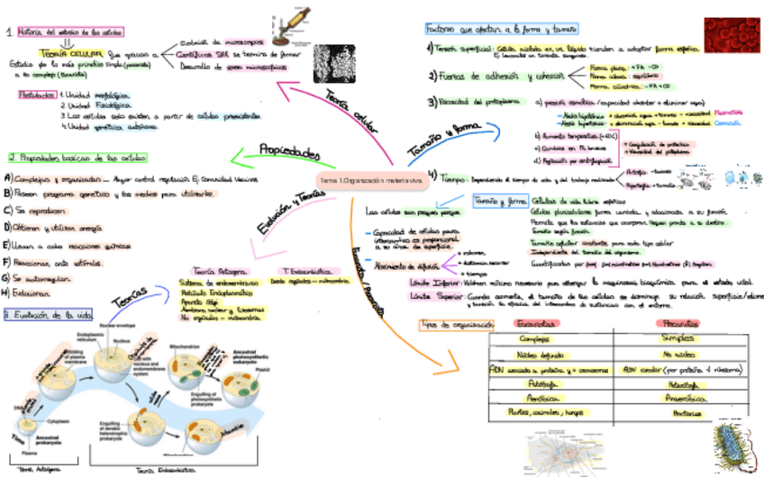 Miniatura del documento Biologia-celular.pdf