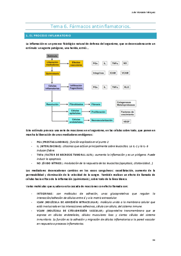 Miniatura del documento 6.-Antiinflamatorios.pdf