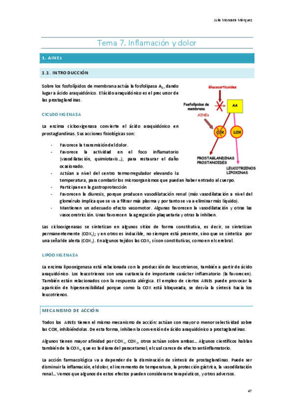 Miniatura del documento 7.-Inflamacion-y-dolor.pdf