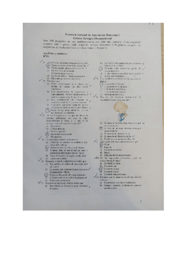 Miniatura del documento Parcial-Anatomia-I.pdf