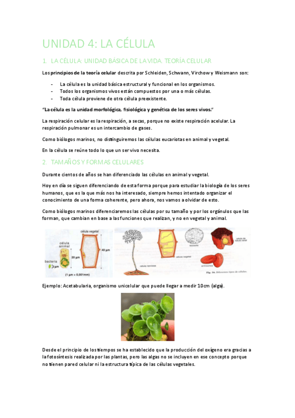 Miniatura del documento Unidad-4.pdf