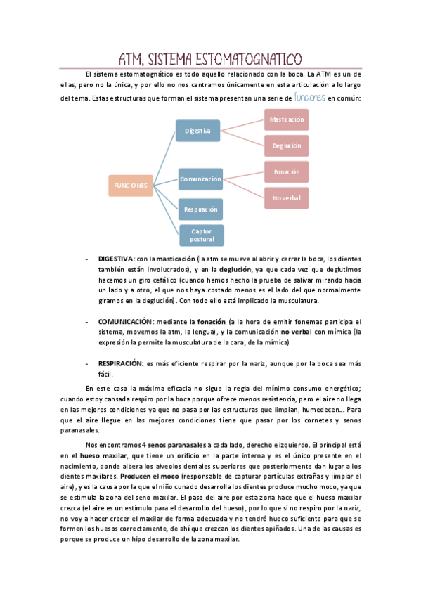 Miniatura del documento ATM-y-sistema-estomatognatico.pdf