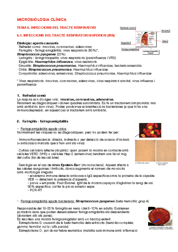 Miniatura del documento Tema-6-COMPLET-curs-2324.pdf