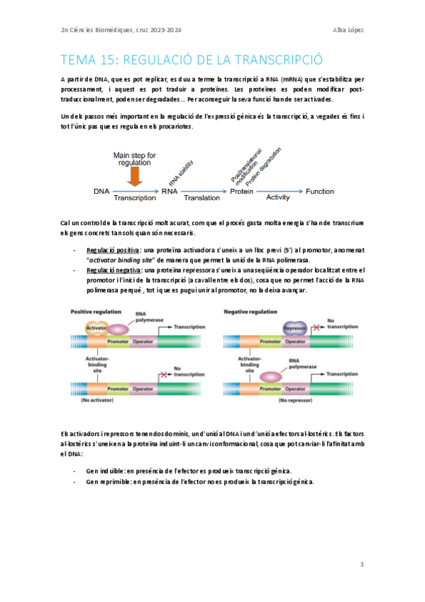 Miniatura del documento Tema-15.-Regulacio-de-la-transcripcio.pdf
