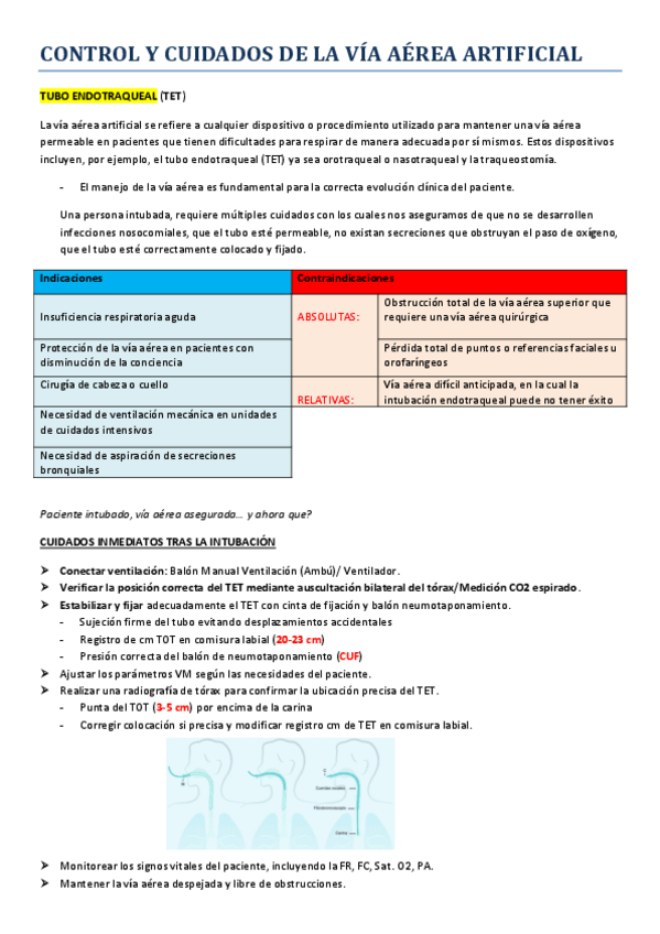 Miniatura del documento Control-y-cuidados-Via-Aerea-Artificial.pdf
