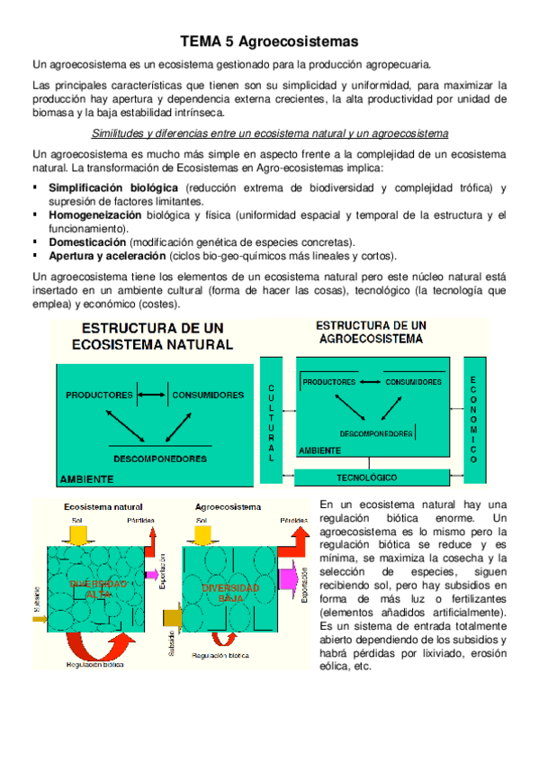 Miniatura del documento Tema 5.1.pdf