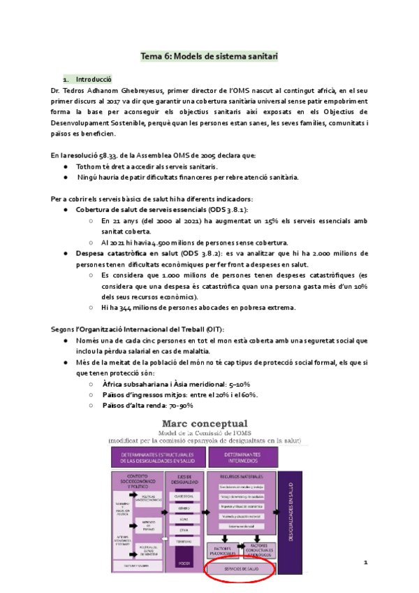 Miniatura del documento Tema-6-Models-de-sistema-sanitari.pdf