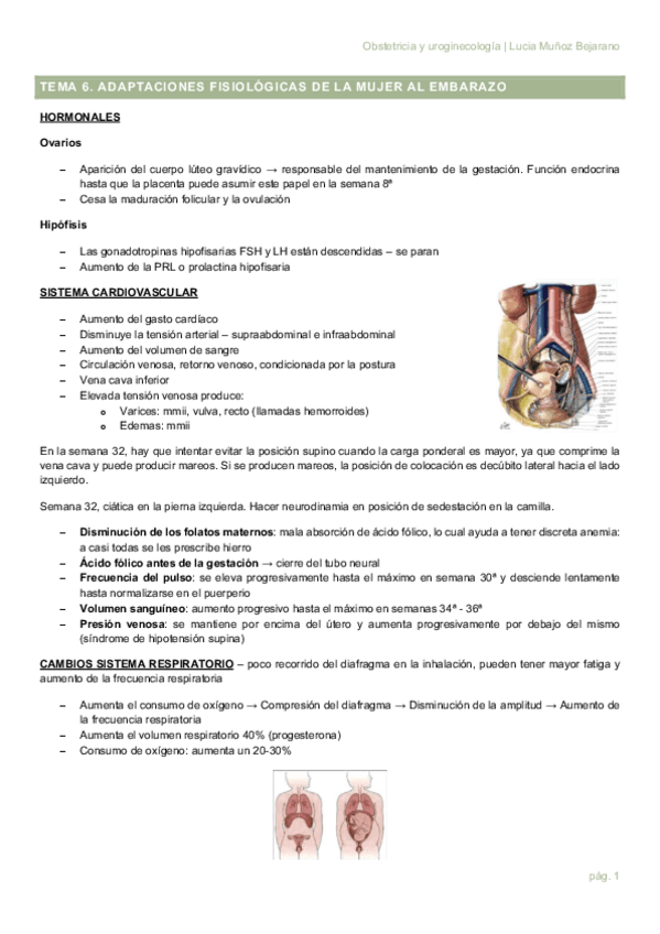 Miniatura del documento TEMA-6.pdf