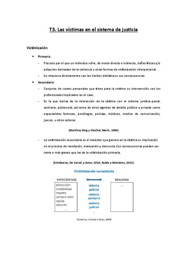 Miniatura del documento T.-Las-victimas-en-el-sistema-de-justicia-T.pdf