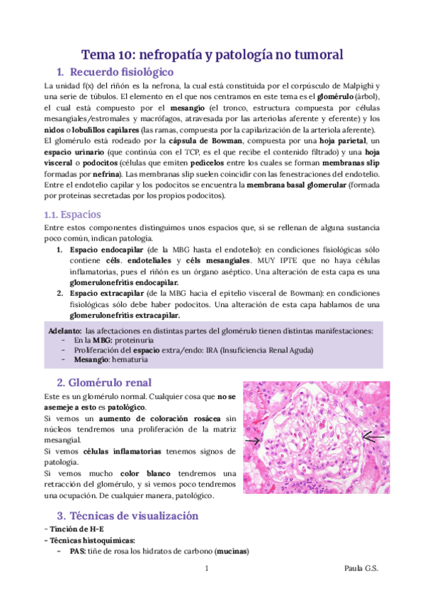 Miniatura del documento AP-TEMA-10-9-RESUMEN.pdf