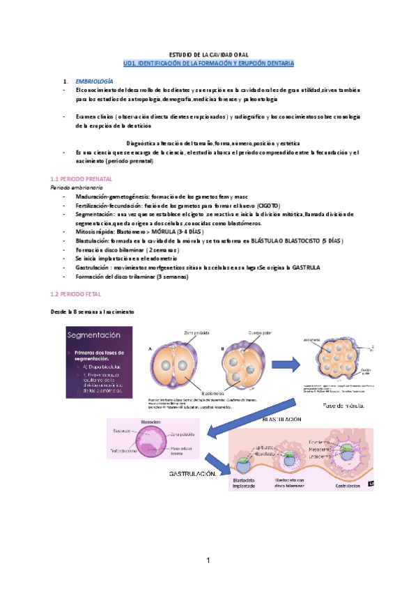 Miniatura del documento ESTUDIO-DE-LA-CAVIDAD-ORAL-3.pdf