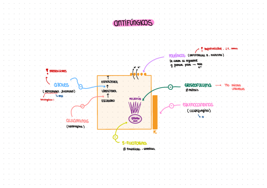 Miniatura del documento ANTIFUNGICOS.pdf