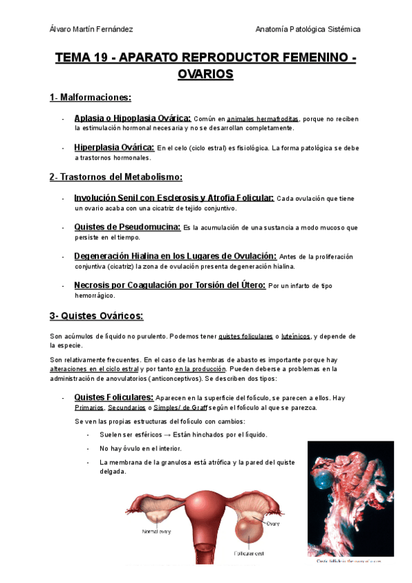 Miniatura del documento TEMA-19-APARATO-REPRODUCTOR-FEMENINO-OVARIOS.pdf