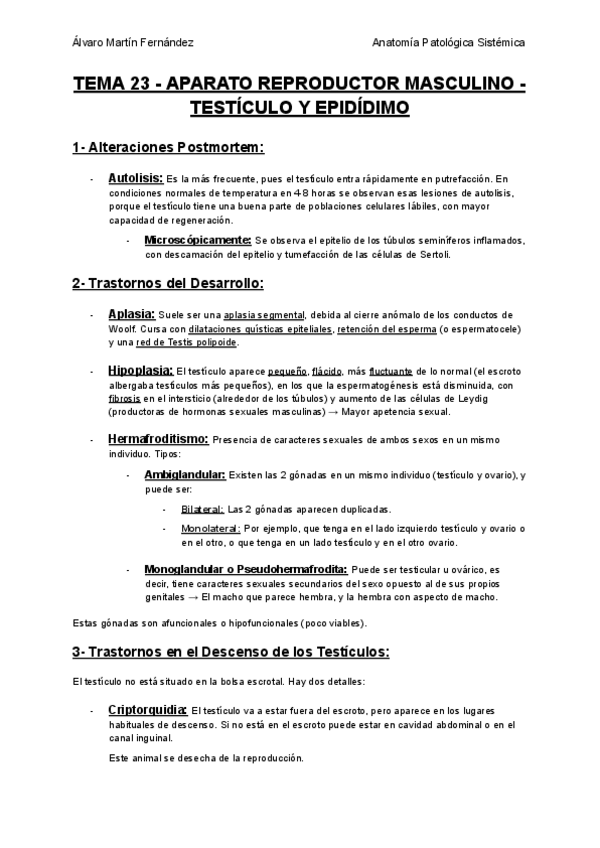 Miniatura del documento TEMA-23-APARATO-REPRODUCTOR-MASCULINO-TESTICULO-Y-EPIDIDIMO.pdf