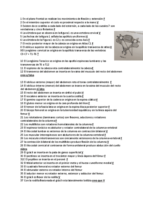 Miniatura del documento Parcial-anatomia-resuelto.pdf