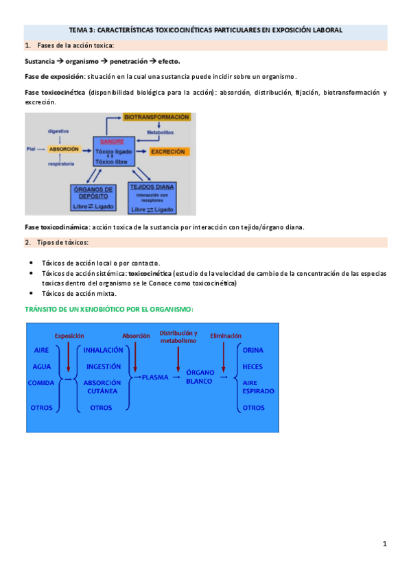 Miniatura del documento TEMA-3.pdf