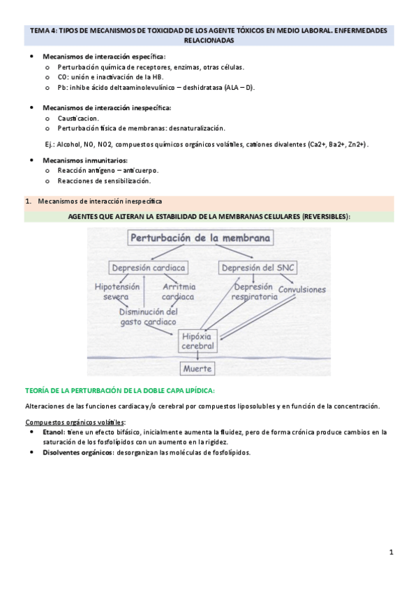 Miniatura del documento TEMA-4.pdf