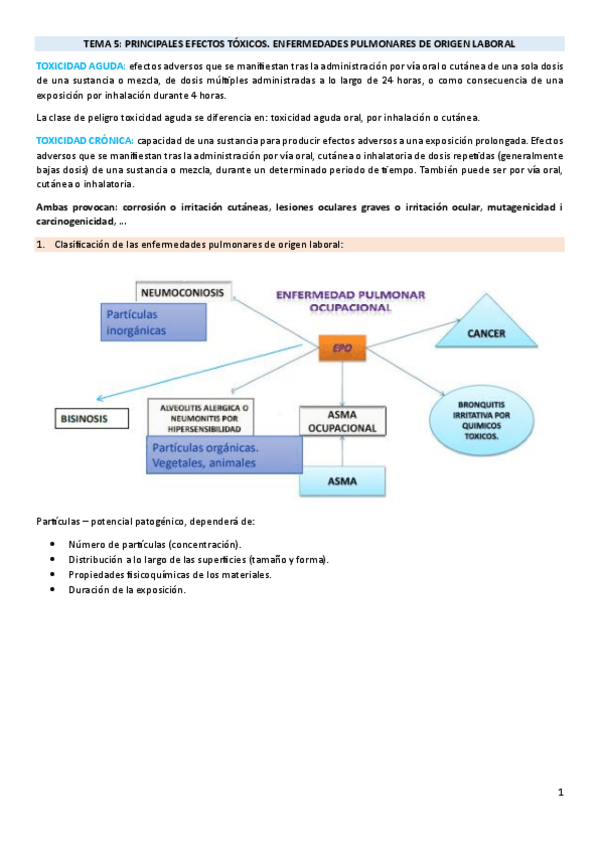 Miniatura del documento TEMA-5.pdf