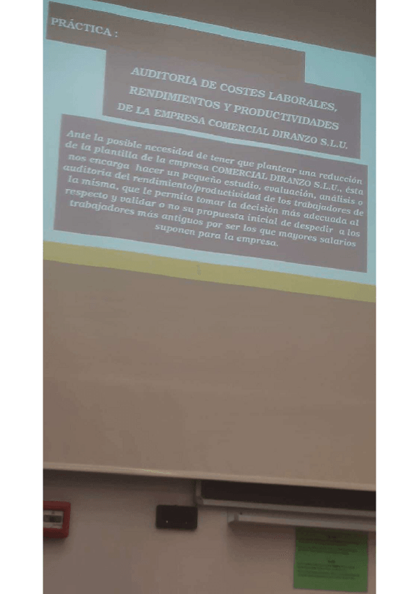 Miniatura del documento Practica-Empresa-Comercial-Diranzo.pdf