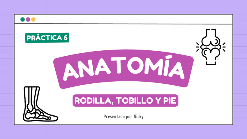Miniatura del documento Practica-6-rodilla-tobillo-y-pie-Anatomia.pdf
