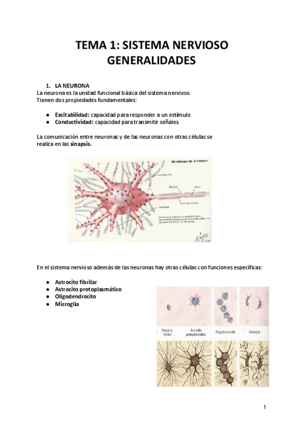Miniatura del documento TEMA-1-SISTEMA-NERVIOSO.pdf