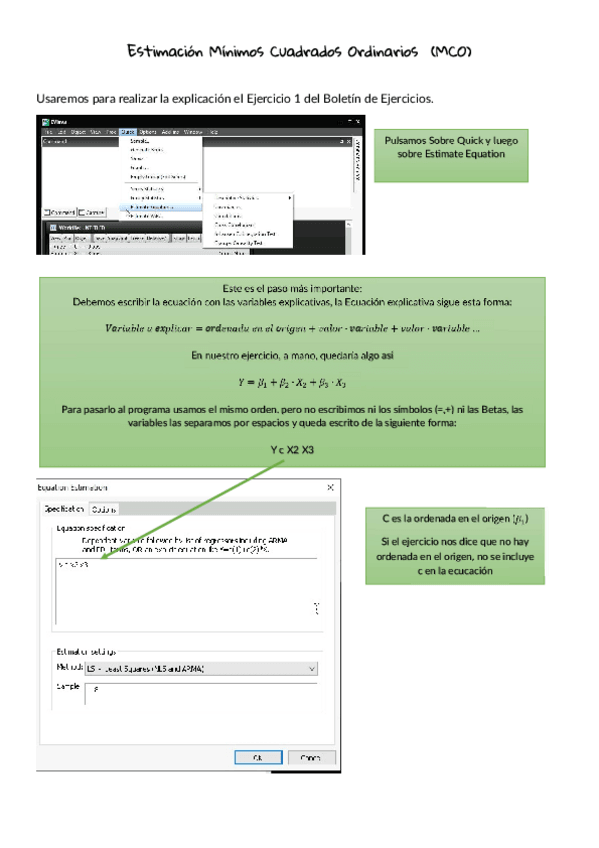 Miniatura del documento EviewMCO.pdf