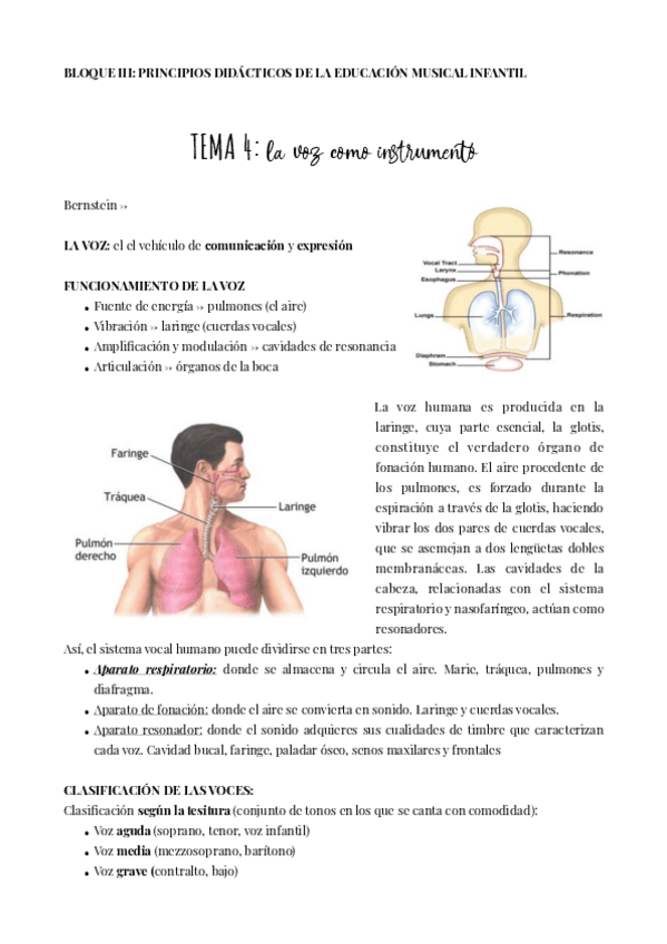 Miniatura del documento TEMA-4MUSICA.pdf