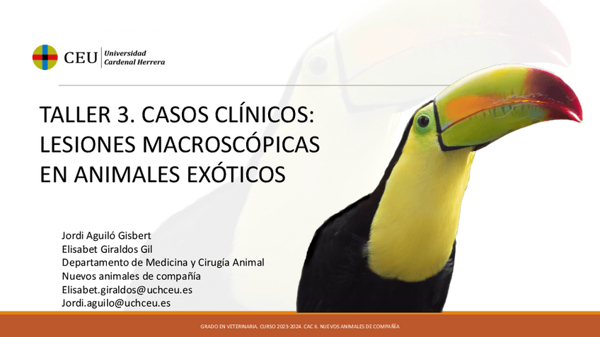 Miniatura del documento TALLER-3-NAC-IMAGENES-LESIONES-MACROSCOPICAS-ALUMNOS.pdf