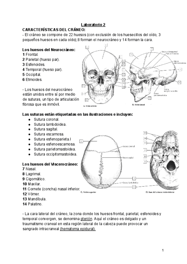 Miniatura del documento Laboratorio-2.pdf