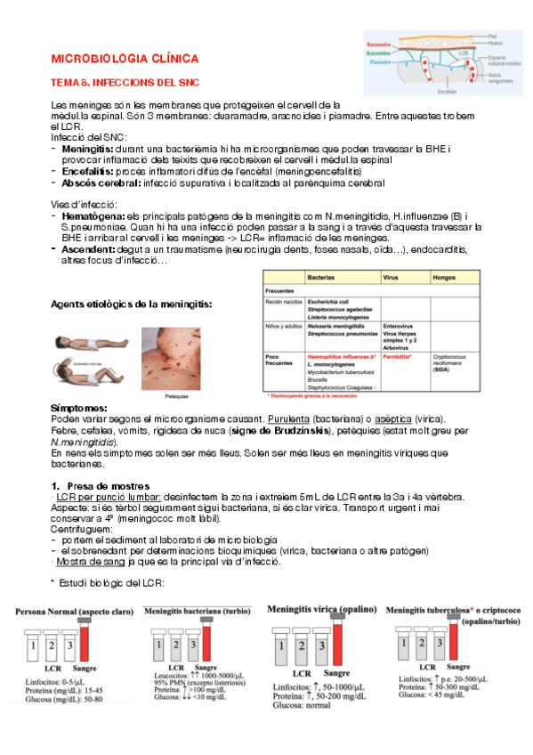 Miniatura del documento Tema-8-COMPLET-curs-2324.pdf