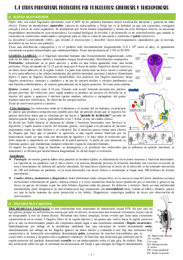 Miniatura del documento 4-Giardosis-y-Trichomonosis.pdf