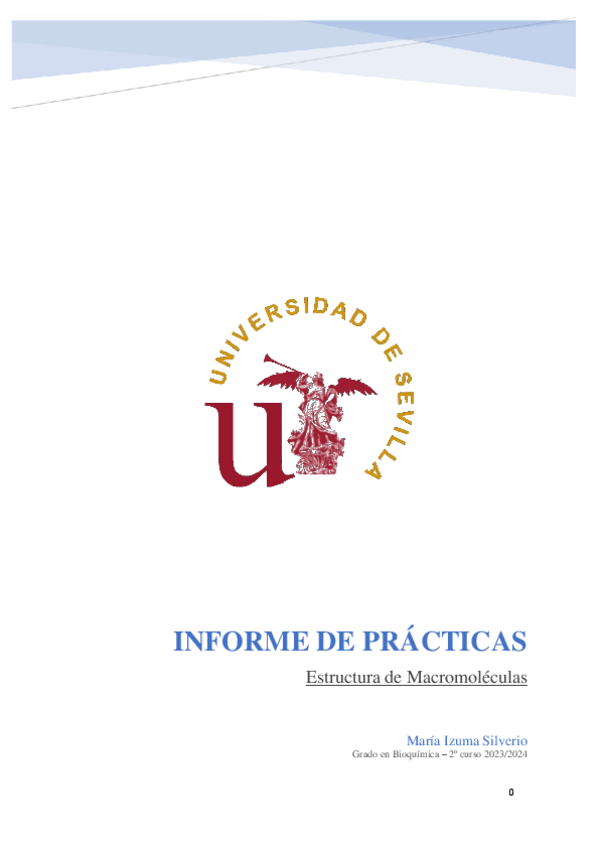 Miniatura del documento Informe-de-practicas.pdf