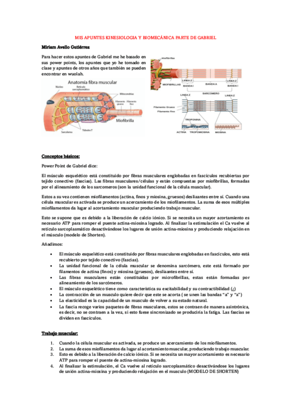 Miniatura del documento Gabriel-principios-basicos.pdf