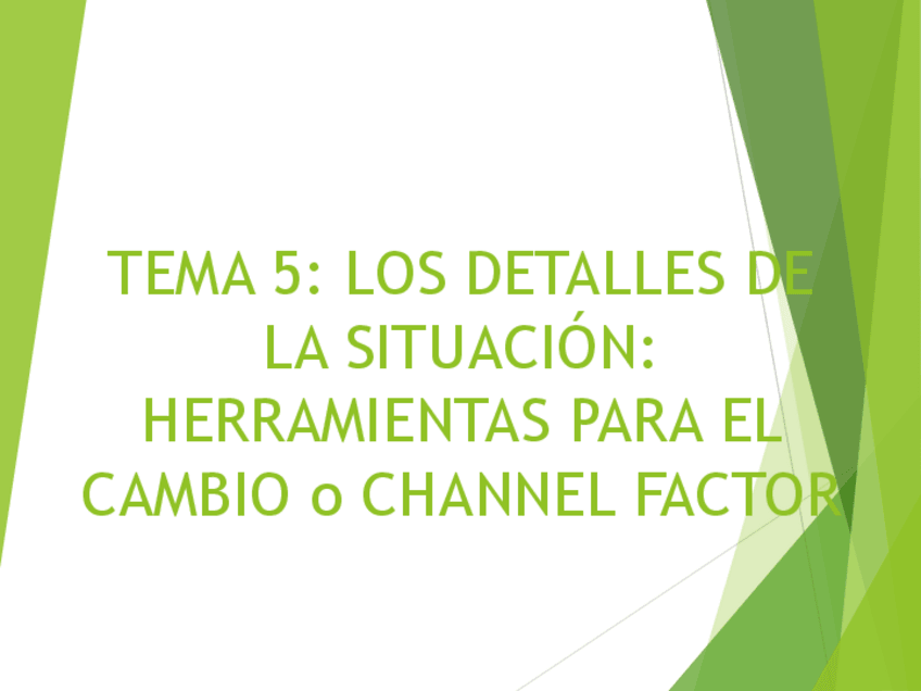 Miniatura del documento TEMA-5.Channel-factor.pdf