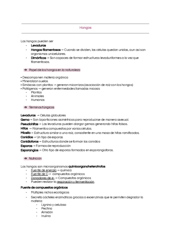 Miniatura del documento Hongos.pdf