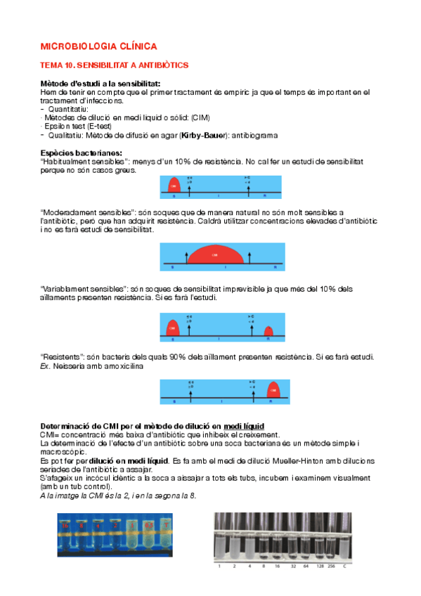 Miniatura del documento Tema-10-COMPLET-curs-2324.pdf
